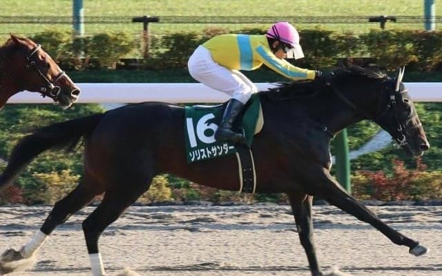 【根岸S枠順確定】ソリストサンダーは5枠9番、オメガレインボーは3枠5番