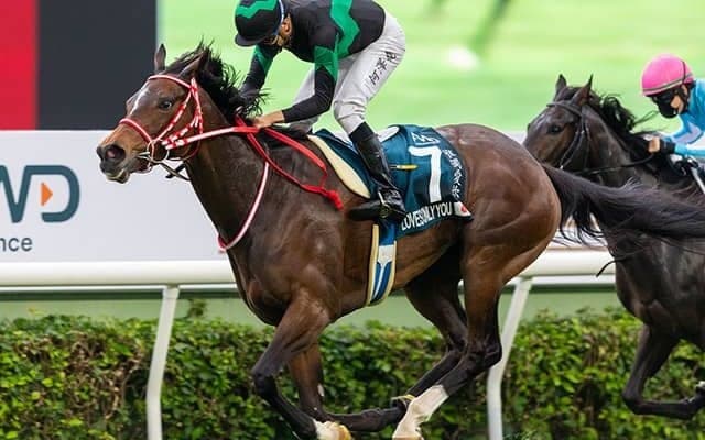 昨年香港G1・2勝のラヴズオンリーユーの名を冠したレースが引退式当日の30日、シャティン競馬場で開催