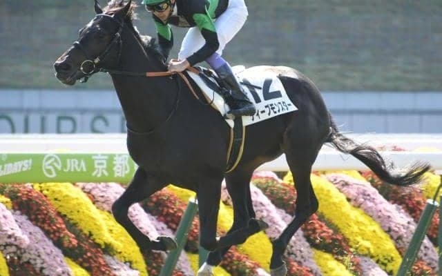 【本日の注目ポイント】東京開催がスタート、メインの白富士Sで好メンバー激突