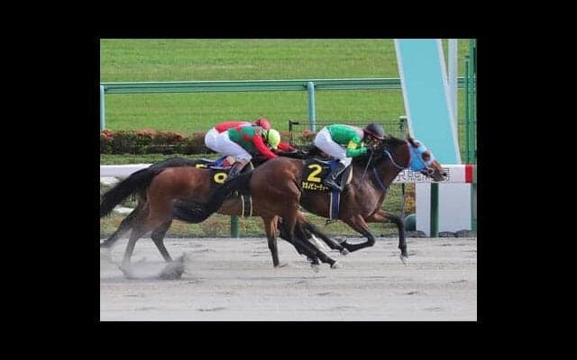 今年も大混戦の根岸Ｓ。マイル戦でも強靭な末脚が使える距離短縮組が絶好の狙い目