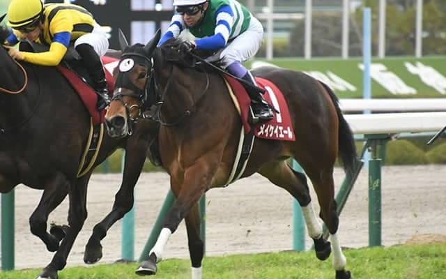 【シルクロードS予想】メイケイエールに危険信号!? 前走GIで4着も○○であることがレースに影響？