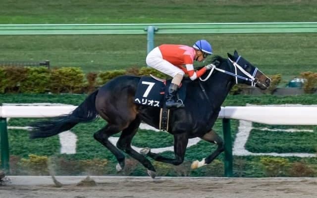 【根岸S前日オッズ】武豊騎手騎乗ヘリオスが4.1倍で1番人気