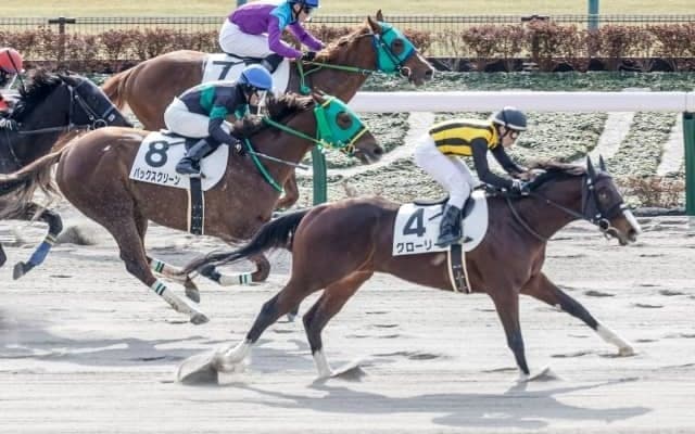 【根岸S予想】極端に時計が掛かかるわけでもなく、かなり読みにくいが…/万哲の馬場予報