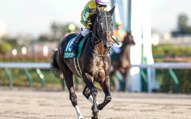 【WIN5予想】根岸Sはコース適性や臨戦過程が明暗を分けそう