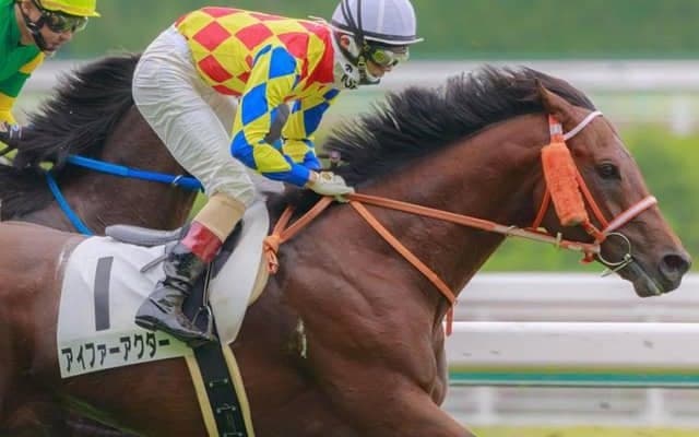 【JRA】上野翔騎手が骨折の疑い、アイファーアクターは予後不良に