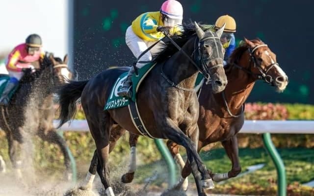 【本日の注目ポイント】重賞は根岸SとシルクロードS、夕方にはラヴズオンリーユー引退式