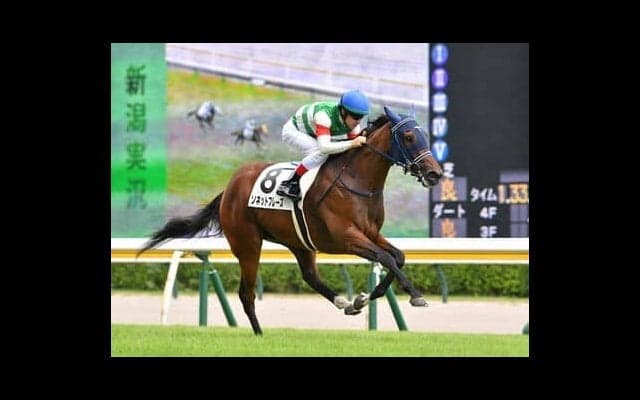 阪神JFをパスした大物。陣営が「必ず走る」と絶賛しているソネットフレーズの今後