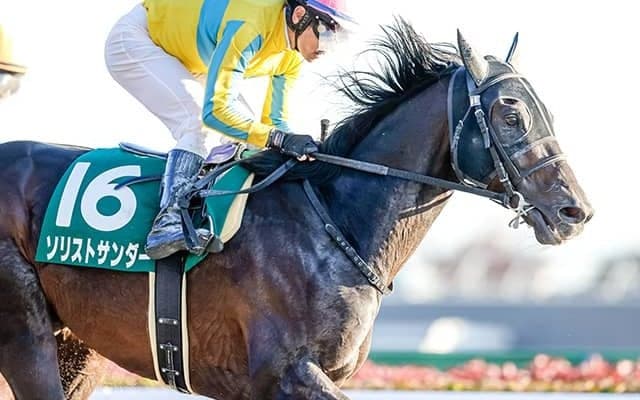 【根岸S予想】8枠不利＆10・12・16番は死に目？ ローテから絞れる好走パターン馬はどれだ！