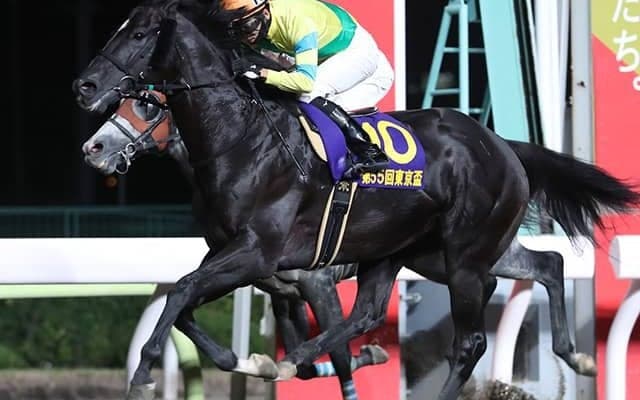 【AI予想・根岸S】週初めから一転も「大穴狙い」は変わらず!? 上位拮抗の混戦断つのは「あの馬」か