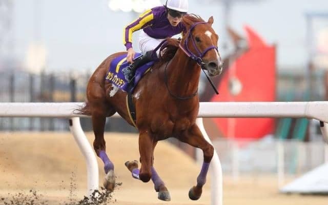 【川崎記念枠順確定】チュウワウィザードは3枠3番、カジノフォンテンは6枠9番