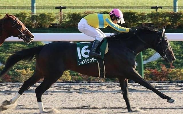 【根岸S・馬体重】ソリストサンダーは486kg(+4)、タガノビューティーは518kg(-4)