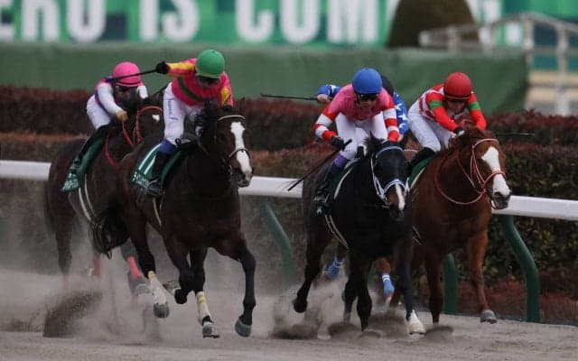 【根岸S】テイエムサウスダンが抜け出す