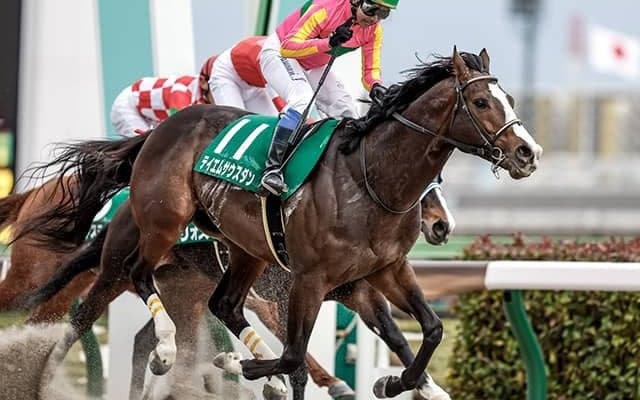 【根岸S】岩田康誠騎手がJRA通算1700勝達成「この数字は自分一人のものではなく…」