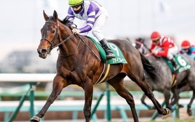 JRAはGIII東京新聞杯ときさらぎ賞、地方はJpnI川崎記念/今週の競馬界の見どころ