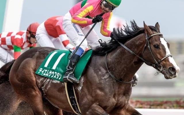 【根岸S】売上は72億4083万100円で昨年からおよそ9.9億円の増加