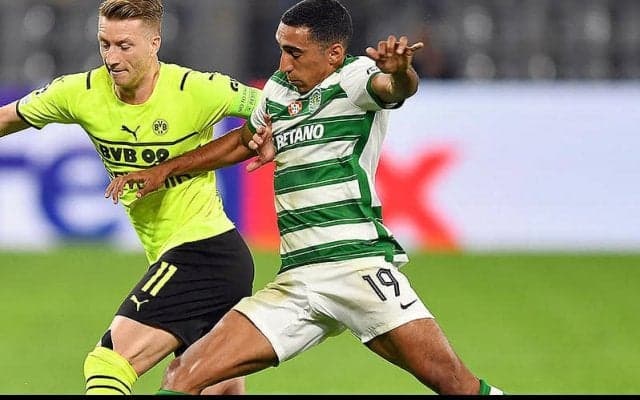 シュツットガルト、スポルティングの逸材FWティアゴ・トマスを獲得!