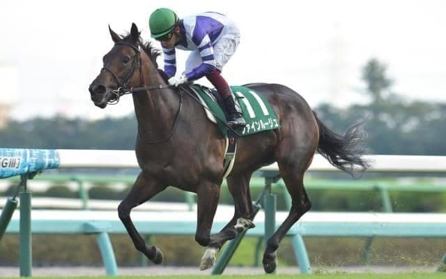 【東京新聞杯見どころ】秋華賞2着ファインルージュの重賞3勝目なるか