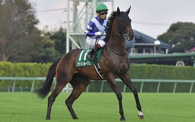【東京新聞杯想定騎手】ファインルージュはC.ルメール騎手、カラテは菅原明良騎手