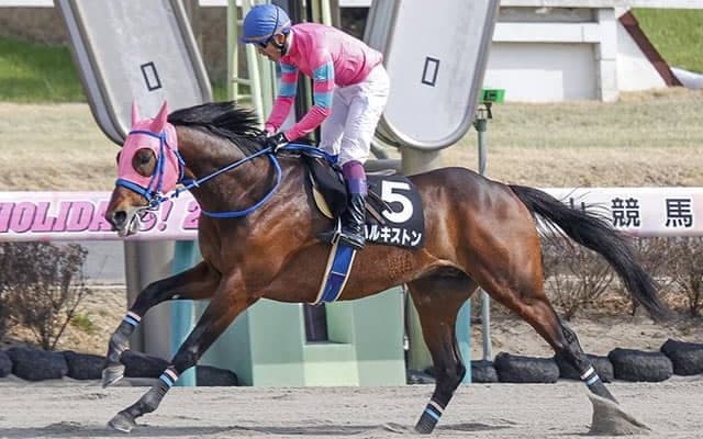 【先週のJRA抹消馬】春麗ジャンプS覇者ハルキストン、スティッフェリオの半弟リオンドールなど