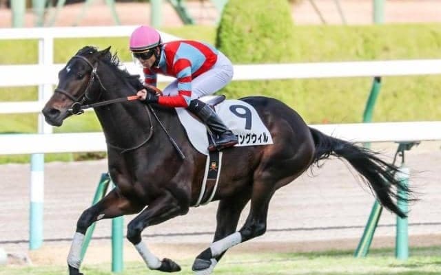 【きさらぎ賞展望】少頭数ゆえ前有利になりやすい3歳重賞