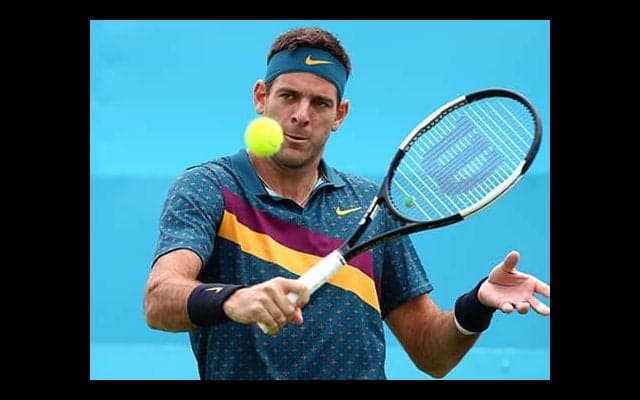 デル=ポトロ 2月2大会出場