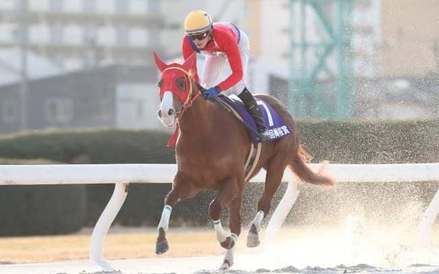 【名古屋・梅桜賞結果】アップテンペストが楽に逃げ切り8馬身差圧勝