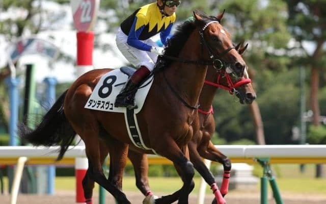 【きさらぎ賞予想オッズ】ダンテスヴューが予想1番人気