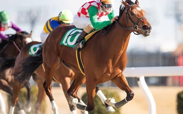 【地方競馬】大井の矢野貴之騎手が地方通算2000勝達成