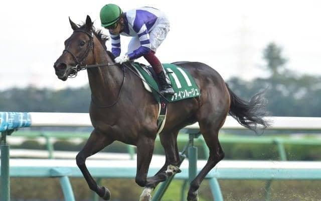 【東京新聞杯予想オッズ】ファインルージュが予想1番人気