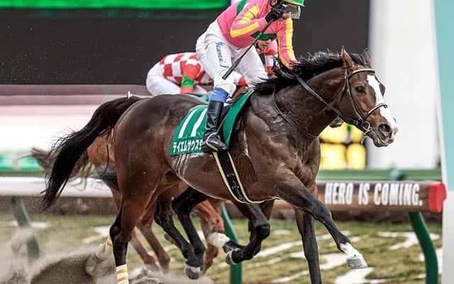 親仔制覇を達成したテイエムサウスダン　次を見据える大舞台では距離との戦いに