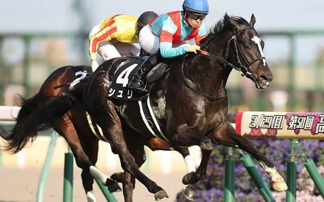 「明確な強調材料こそ見当たらないが...」東京新聞杯でAIが高評価した伏兵は？