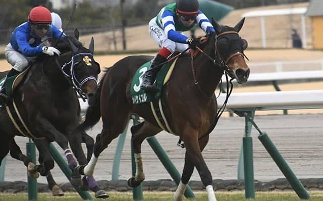 ソダシと同じ牝系に属するメイケイエールが披露した素晴らしい潜在能力