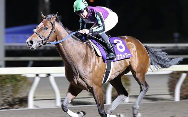 売上好調で賞金加算が目立つ地方競馬　生え抜きの素質馬も活躍し、更なる盛り上がりに期待