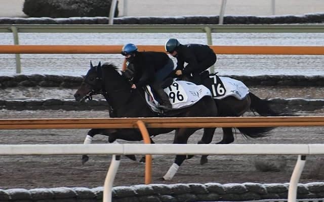 ダノンスコーピオン、共同通信杯1週前追い切り速報/栗東トレセンニュース