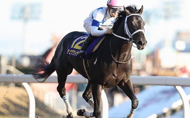 【川崎記念 13時時点オッズ】チュウワウィザードが単勝1.3倍の1番人気、ヴェルテックス、カジノフォンテンが続く