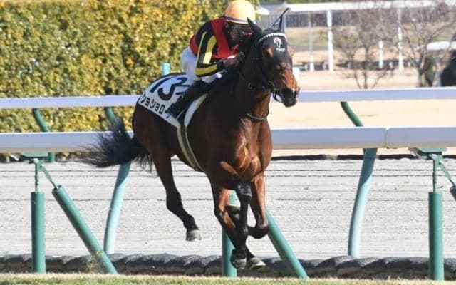 【次走】ショショローザはクイーンCへ　半兄にワールドプレミア、ヴェルトライゼンデ