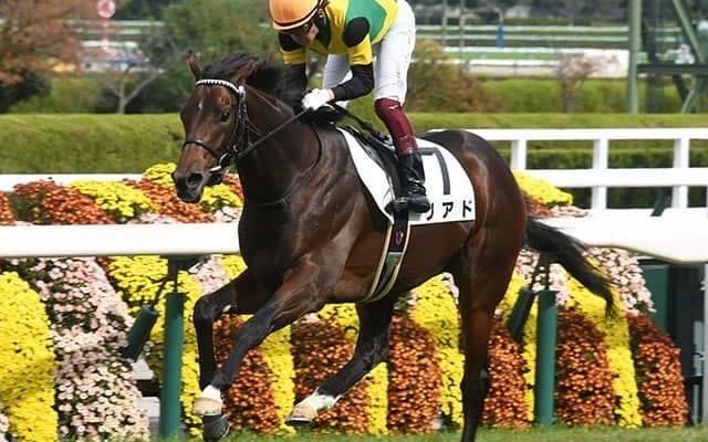 4.7億円高額馬　リアドは毎日杯を視野