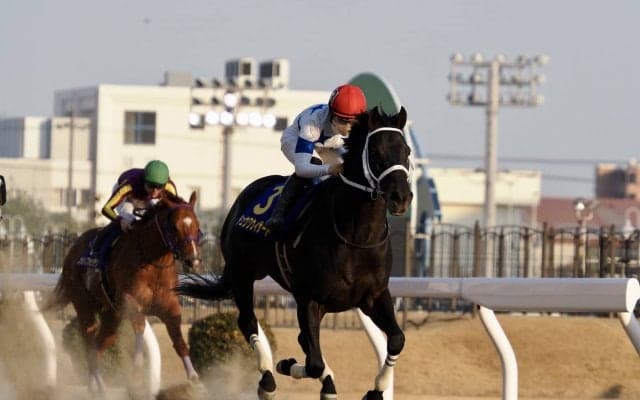 【川崎記念】チュウワウィザードが貫禄の勝利