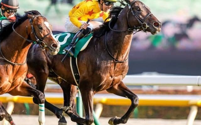 【東京新聞杯】人馬の重賞初制覇から1年…　引退間近の師にもう一度タイトルを