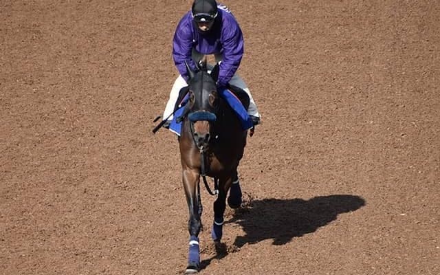 【きさらぎ賞「見逃せない調教師」ベスト3】集計期間内に中京芝2000mで勝率22.4％、アタマで期待するのはこの調教師！