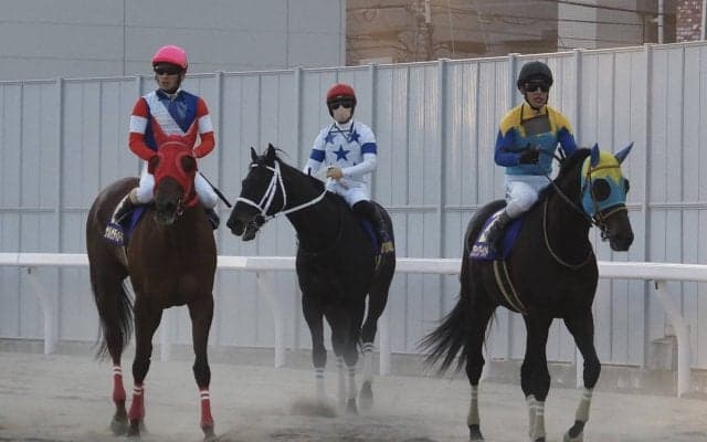 【川崎記念】川田「今年こそという思いでドバイへ」チュウワウィザードが貫禄V