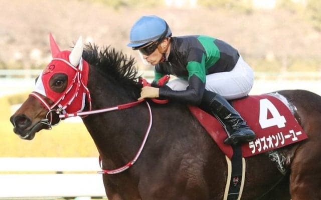 ラヴズオンリーユーが競走馬登録抹消
