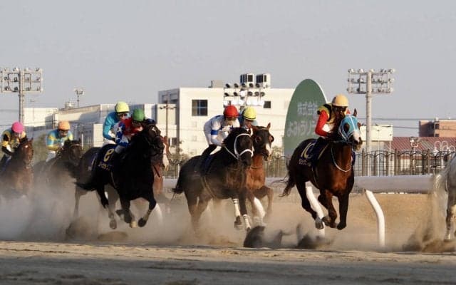 【川崎記念】大久保龍師「胸張ってドバイに」レース後ジョッキーコメント