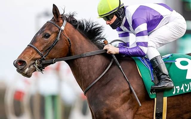 【東京新聞杯出走馬・騎手確定】ファインルージュ＆ルメール騎手、カラテ＆菅原明良騎手など16頭