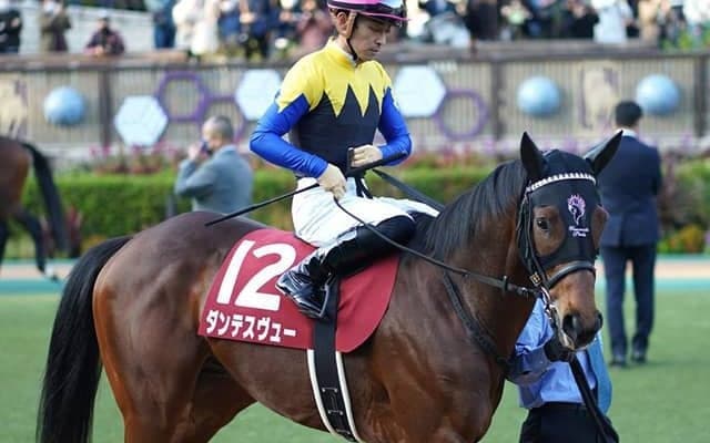 【きさらぎ賞出走馬・騎手確定】ダンテスヴュー＆川田将雅騎手、マテンロウレオ＆横山典弘騎手など11頭