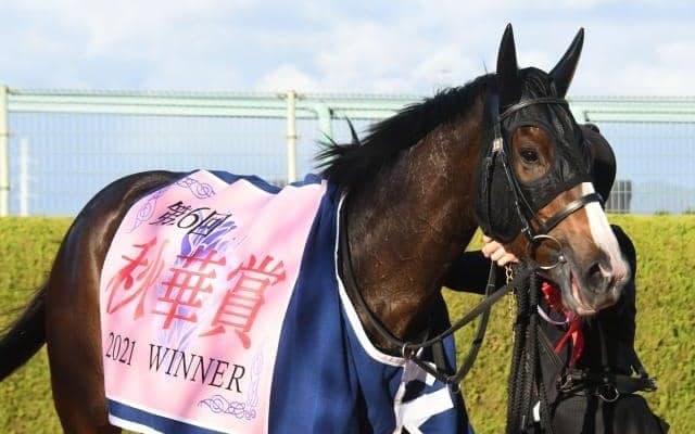 【次走】アカイトリノムスメは阪神牝馬Sからヴィクトリアマイルへ