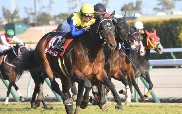 【次走】日経新春杯覇者ヨーホーレイクは大阪杯に直行