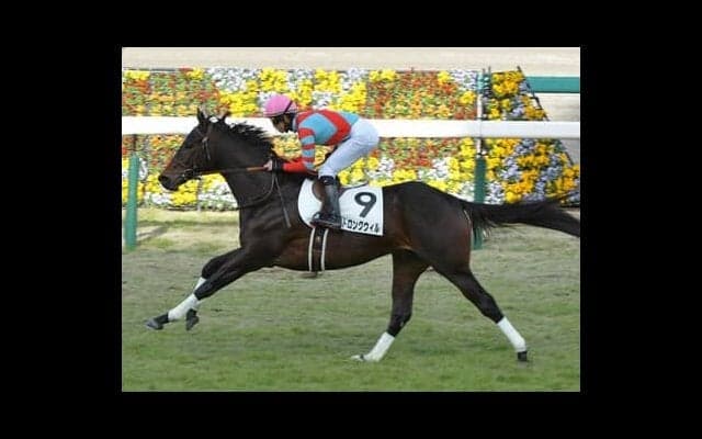 きさらぎ賞は今年も波乱か。血統から見るコース適性で期待の２頭をピックアップ