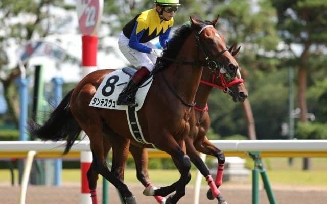 【きさらぎ賞枠順確定】ダンテスヴューは3枠3番、マテンロウレオは2枠2番