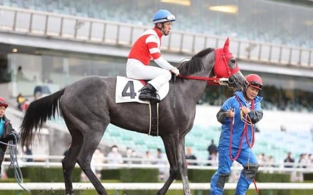 【地方競馬】オグリキャップの孫娘が笠松競馬デビュー